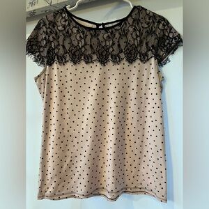 Elegant Lace Polka Dot Top